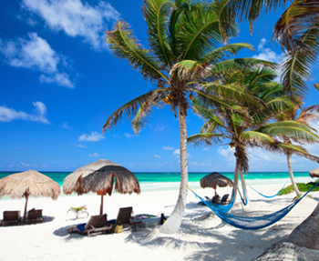 Beautiful Tropical Beach Antigua